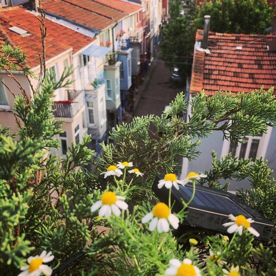 Elele Boutique Aparts 2* Provincia di Istanbul